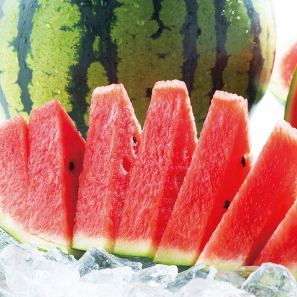 【送料無料】一番出荷　植木の春すいか（1玉・2玉）