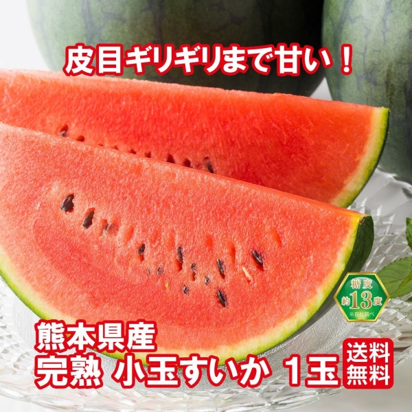 熊本県産 小玉すいか（1玉・2玉）【送料無料】