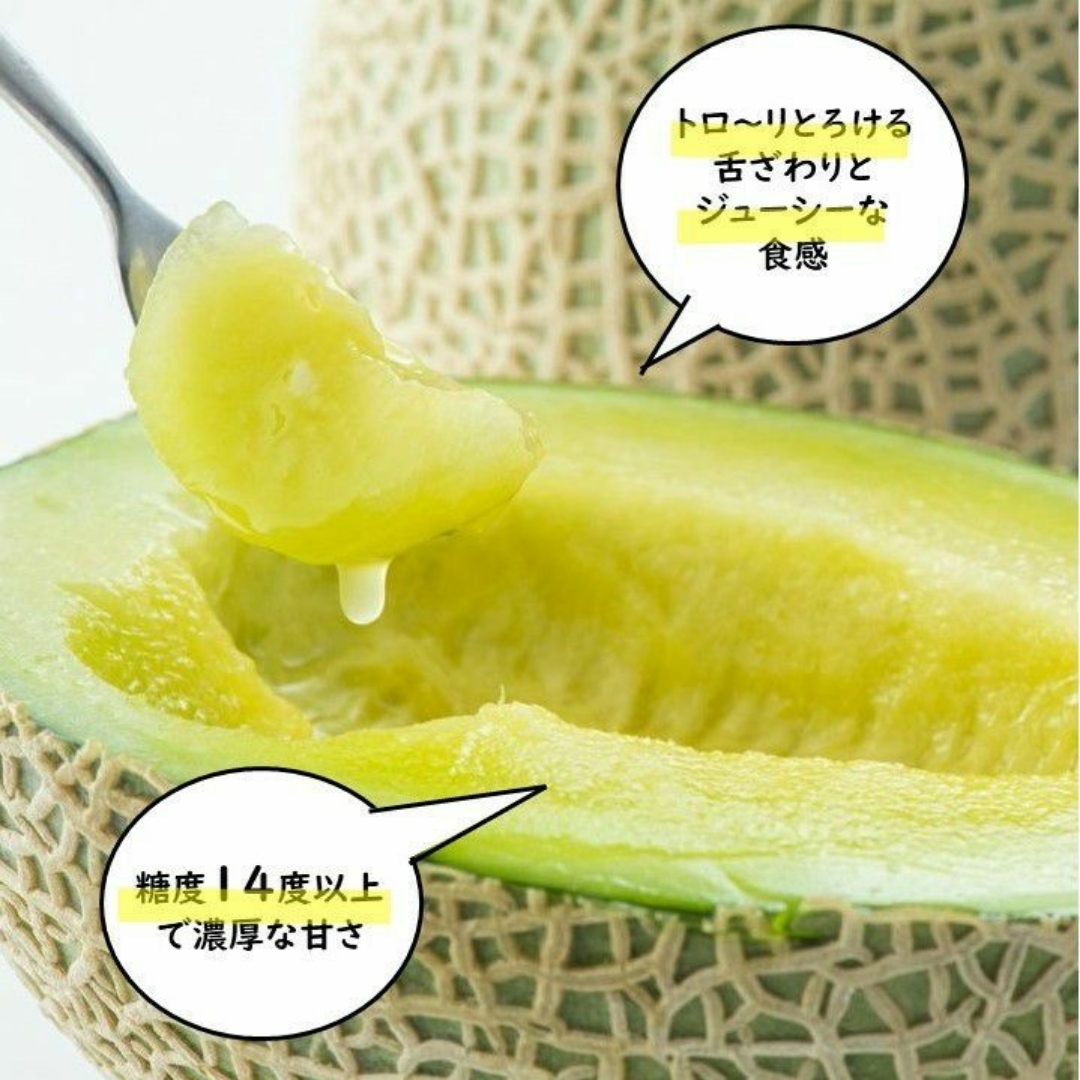 2026年母の日限定ギフト》小玉すいか＆アールスメロンセット【送料無料