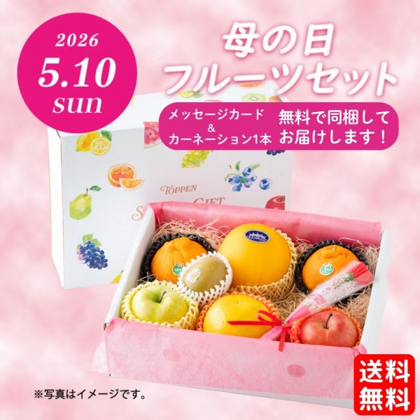 《2026年母の日限定ギフト》フルーツセット【送料無料】