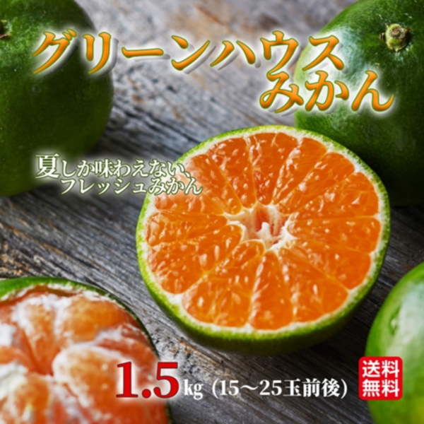熊本県産 グリーンハウスみかん 1.5kg (15～25玉)【送料無料】