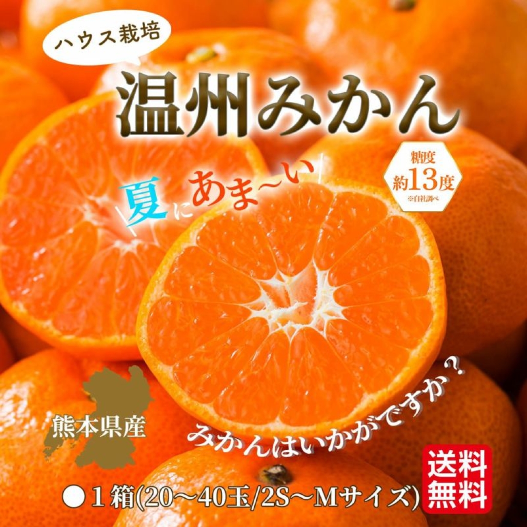 熊本県産 福岡県産 みかん40kg 000000002337_1_N1g2oB0.jpg