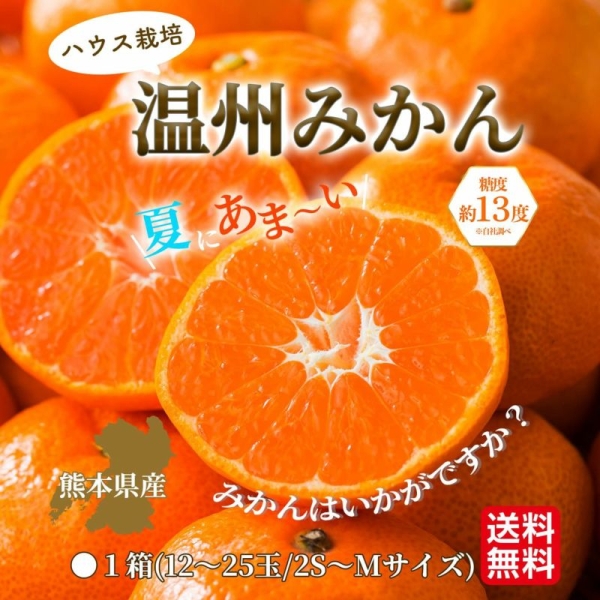 熊本県産 ハウス栽培 温州みかん (1.3kg・2.3kg)【送料無料】