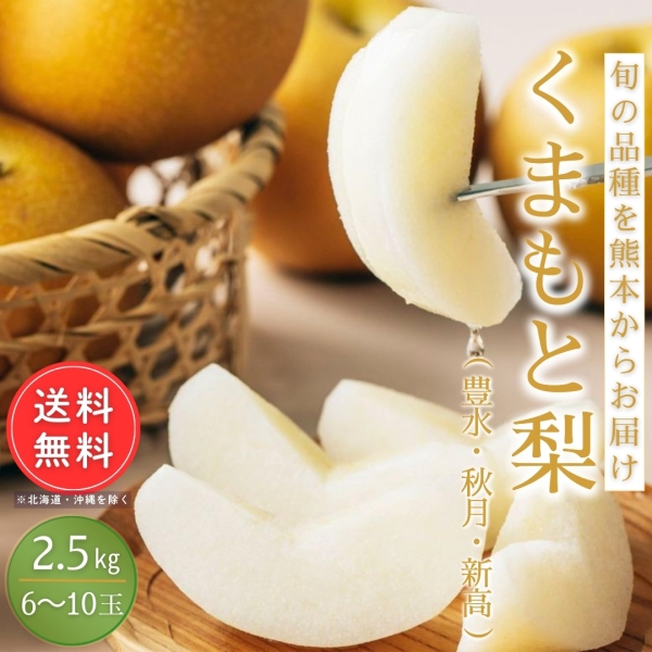 熊本県産 完熟くまもと梨 約2.5kg（6～10玉入り）【送料無料】