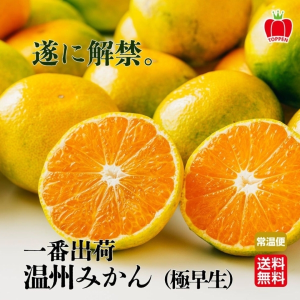 一番出荷！熊本県産温州みかん(極早生)【3kg・5kg】