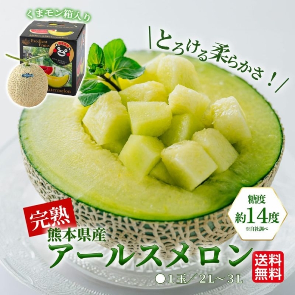 【送料無料】熊本県産 完熟アールスメロン（1玉・2玉）