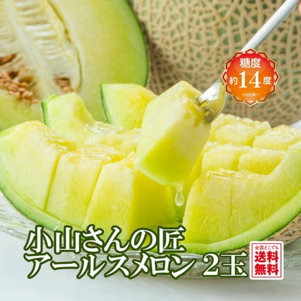 小山さんの匠アールスメロン 2玉入り【送料無料】
