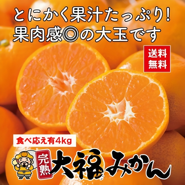 【送料無料】熊本県産 完熟大福みかん 約4kg（20～30玉入り 2L～3L）