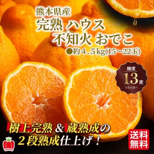 【送料無料】熊本県産 完熟ハウス不知火おでこ 約4.5kg（15～22玉）