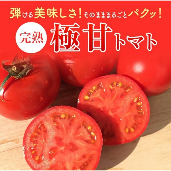 【送料無料】熊本県産 完熟極甘トマト 1kg（18～24玉）