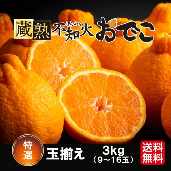 【送料無料】熊本県産 特選玉揃え 蔵熟不知火おでこ 約3kg（9～16玉）