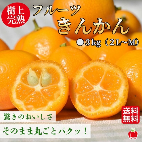 【送料無料】熊本県産 樹上完熟 フルーツきんかん 約3kg