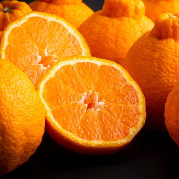 【送料無料】熊本県産 デコポン（2.5kg・5kg）