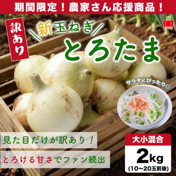 【訳あり】熊本県産 新たまねぎ「とろたま」２kg