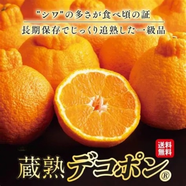 長期熟成　蔵熟デコポン（2.5kg・5kg）