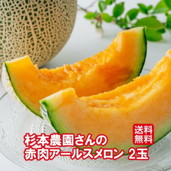 【送料無料】杉本農園さんの赤肉アールスメロン 2玉
