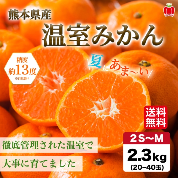 熊本県産 完熟 温室みかん 2.3kg（20～40玉入り）【送料無料】