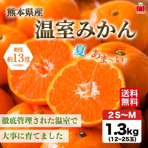 熊本県産 温室みかん 1.3kg（12～25玉入り）【送料無料】