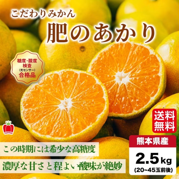 【送料無料】こだわりみかん 「肥のあかり」 2.5kg（20～45玉前後）