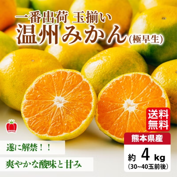 【送料無料】一番出荷　温州みかん（極早生） 約4kg（30～40玉前後 L・Mサイズ／玉揃い）