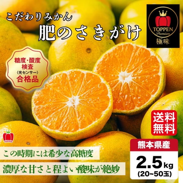 【送料無料】≪とっぺん極味シリーズ≫こだわりみかん 「肥のさきがけ」 2.5kg（20～50玉入）