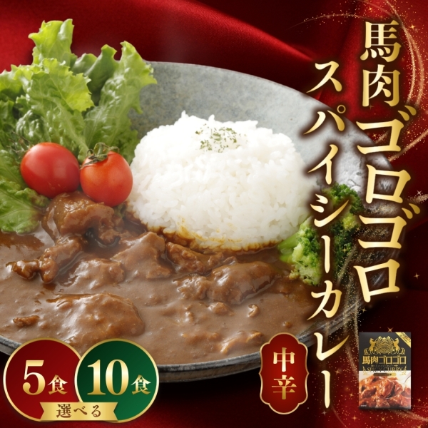 馬肉ゴロゴロスパイシーカリー 5食/10食