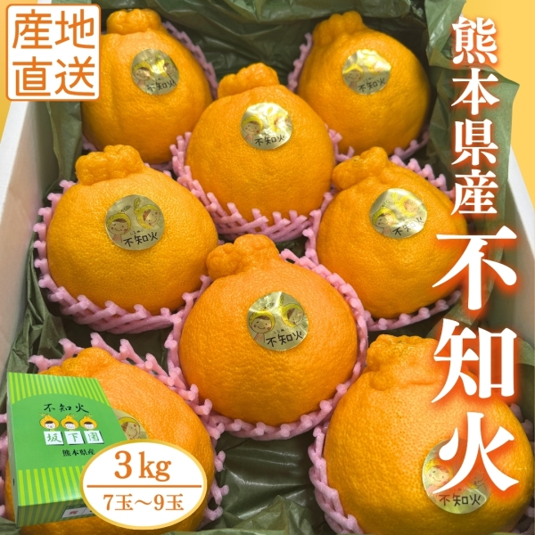 【熊本県産】不知火 3㎏