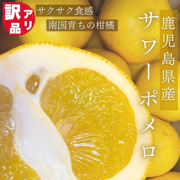【鹿児島県産】サワーポメロ（訳あり10㎏）