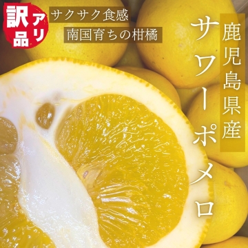 鹿児島県産】サワーポメロ（訳あり10㎏） 松永青果