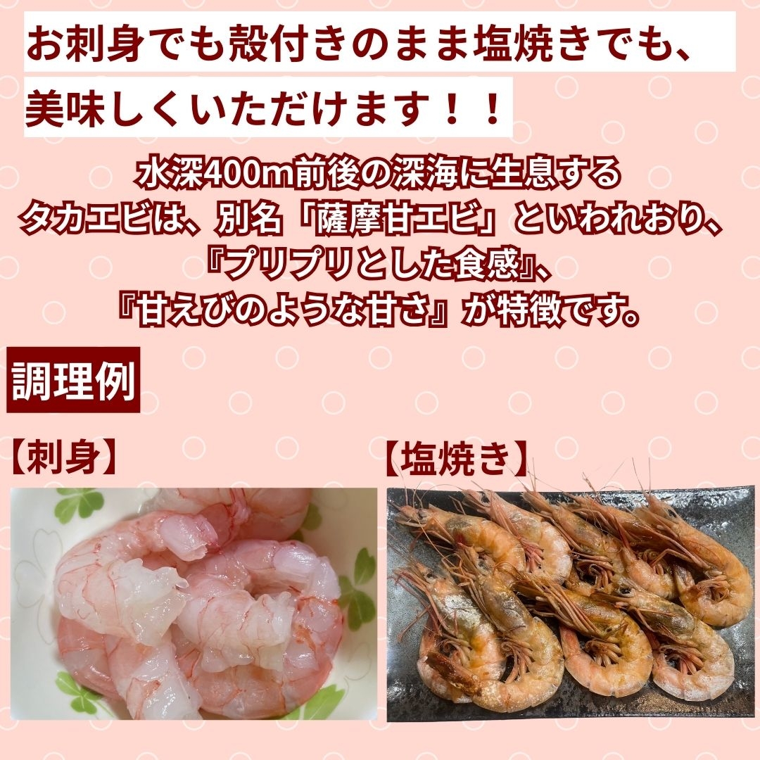 あおえび出品 (11/4 正午まで) 発泡トレー FLB-A11-25 海氷青 エフピコ | テイクアウト容器の通販