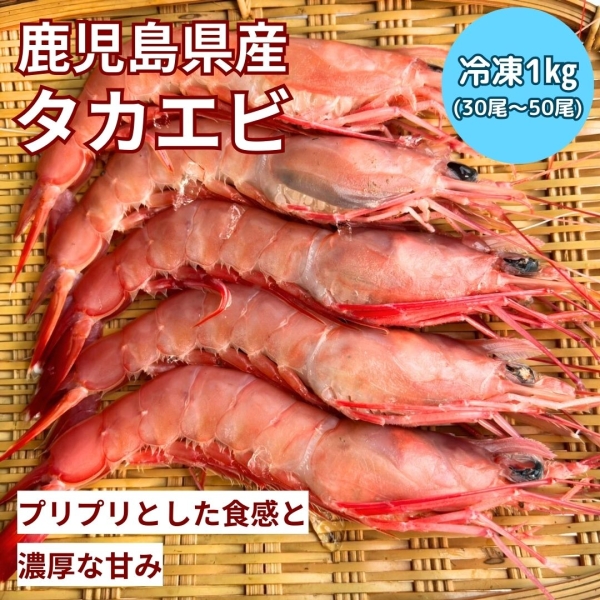 【鹿児島県産】タカエビ（1㎏）