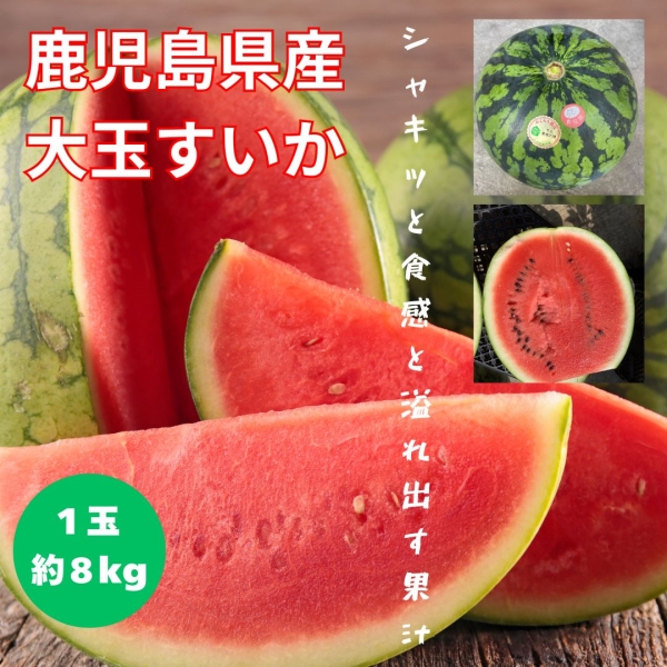 鹿児島県産大玉スイカ（１玉/約8㎏）