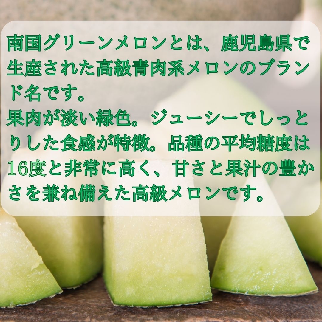 鹿児島県産南国グリーンメロン（2玉/約3㎏） 松永青果