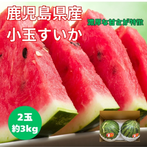 鹿児島県産小玉すいか（2玉/約3㎏）