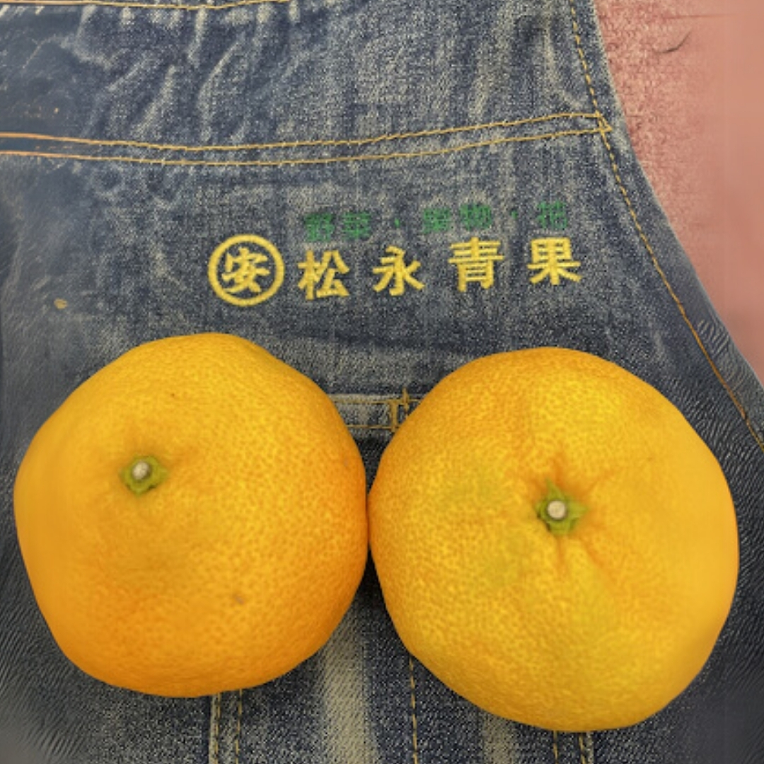 松永青果