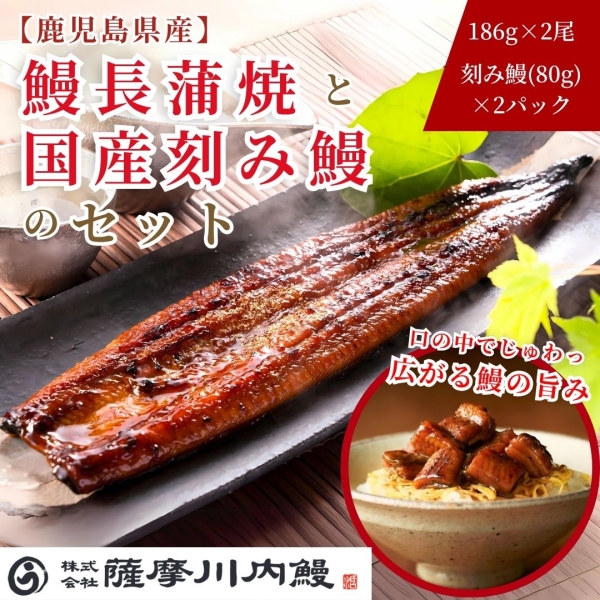 鹿児島県産鰻長蒲焼2尾（1尾186g）と 国産刻み鰻2袋（1袋80ｇ）セット