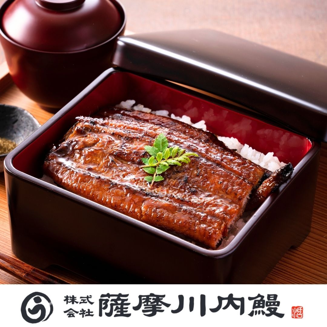薩摩川内鰻