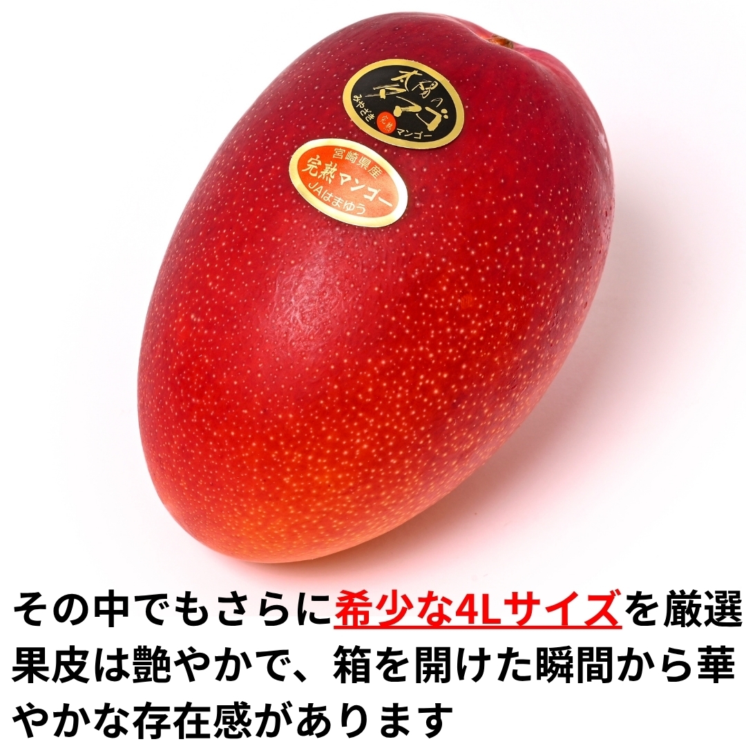 2026年産・宮崎完熟マンゴー】太陽のタマゴ 4L×2玉（化粧箱入り