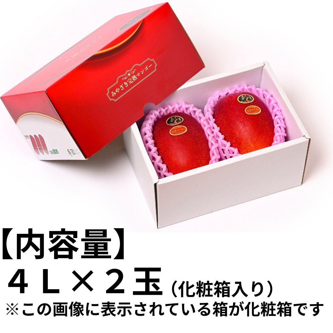 2026年産・宮崎完熟マンゴー】太陽のタマゴ 4L×2玉（化粧箱入り