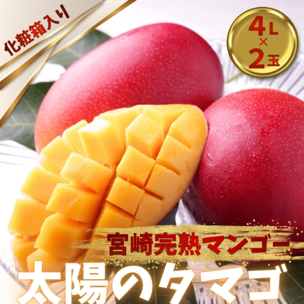 【2026年産・宮崎完熟マンゴー】太陽のタマゴ 4L×2玉（化粧箱入り）