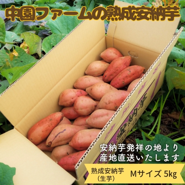 種子島安納産 中園ファームの熟成安納いも（5㎏/Mサイズ）