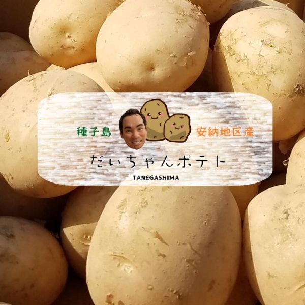 だいちゃんポテト 10㎏（Lサイズ）