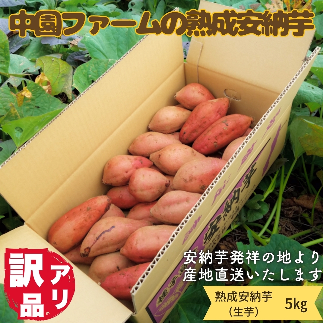種子島安納産 中園ファームの熟成安納いも（訳あり/5㎏） 中園ファーム