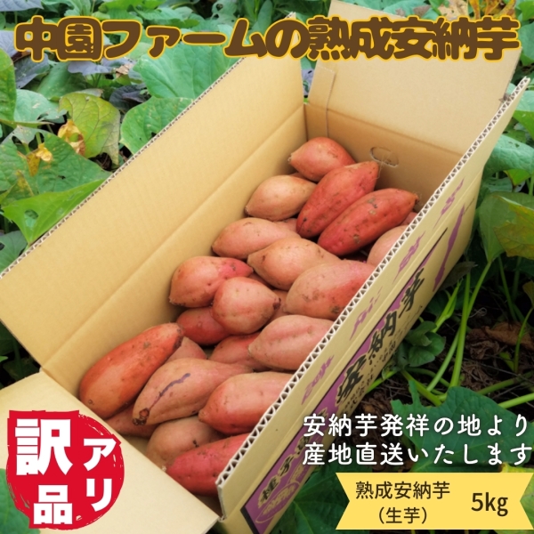 種子島安納産 中園ファームの熟成安納いも（訳あり/5㎏）