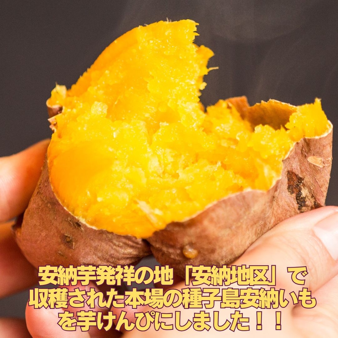 中園ファームの熟成安納いも【黄金塩けんぴ】 中園ファーム