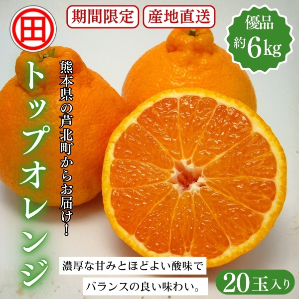トップオレンジ 優品 約6㎏(20玉)