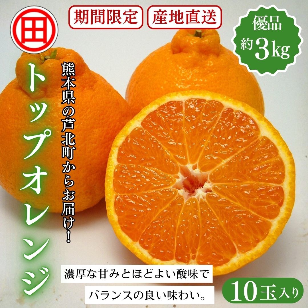 トップオレンジ 優品 約3㎏(10玉) 田の浦柑橘組合