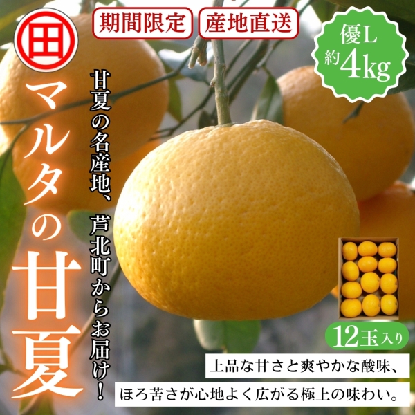 マルタの甘夏 優L 約4kg