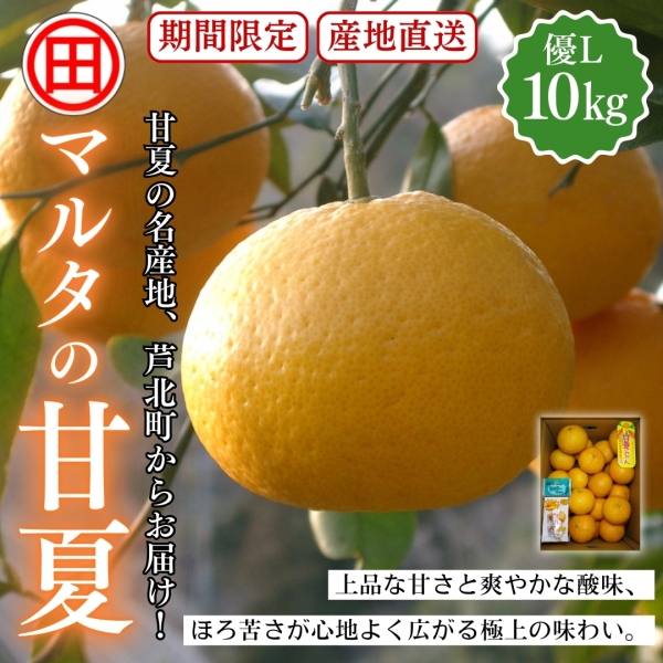 マルタの甘夏 優L 10kg
