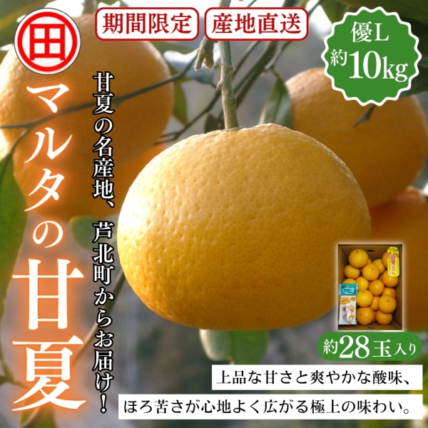 マルタの甘夏 優L 約10kg